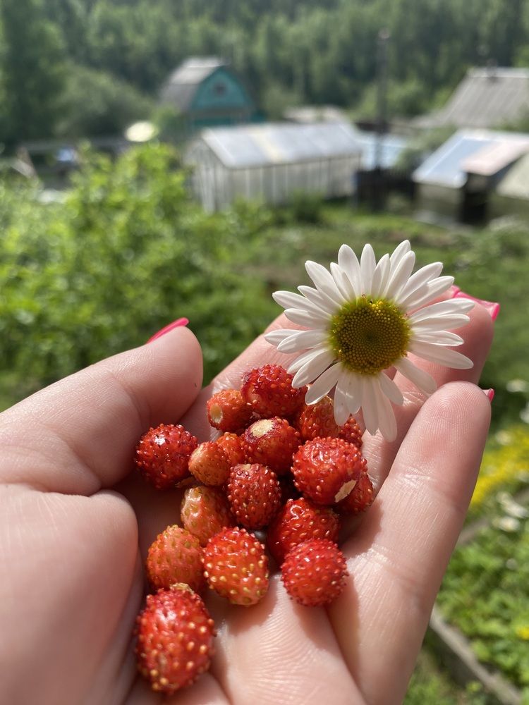 Photograph by Олеся Чистова