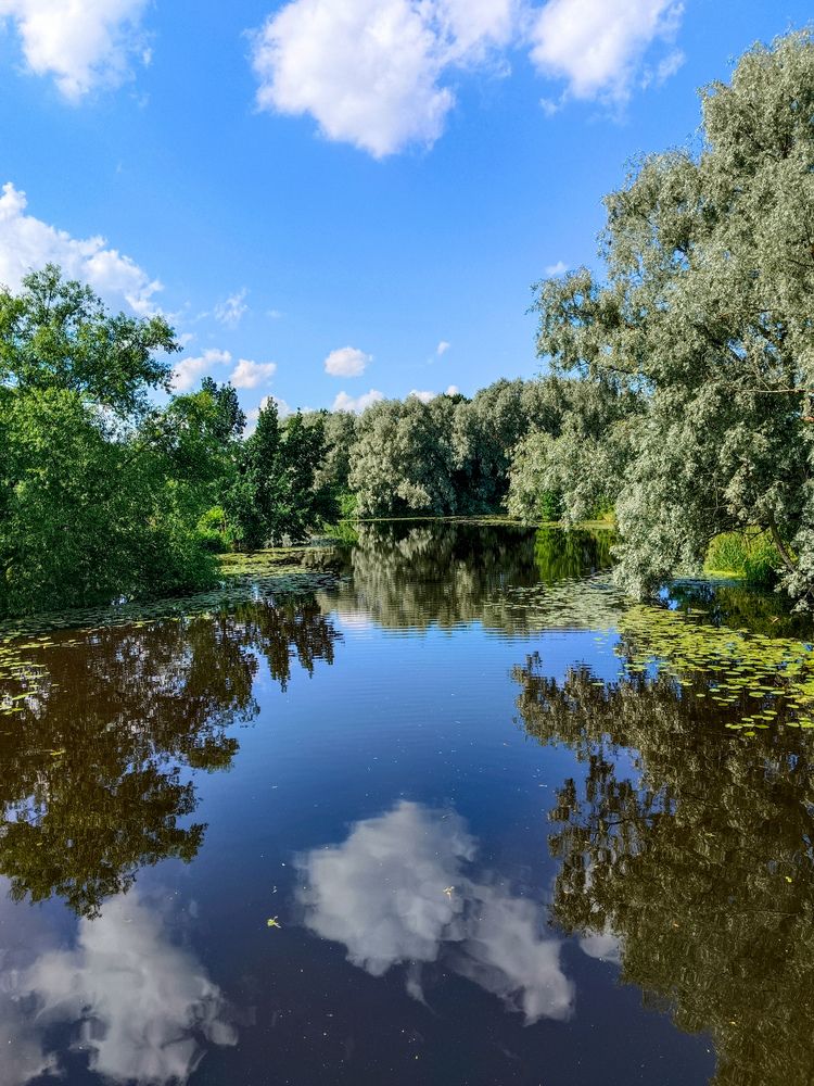 Photograph by Надежда Аксенова