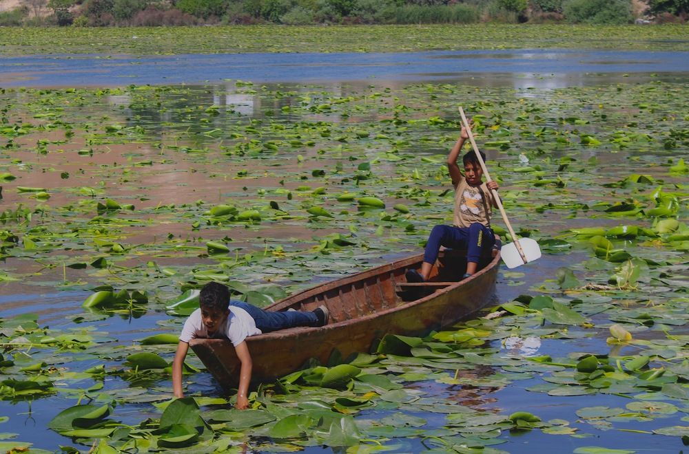 Photograph by Şeyma Gez