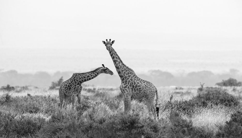 Фотография автора Анатолий Макоедов