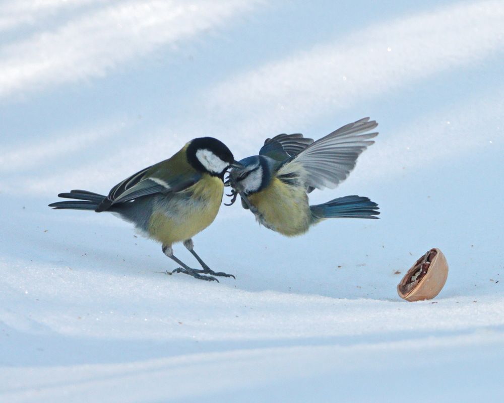 Photograph by Сергей Маслов