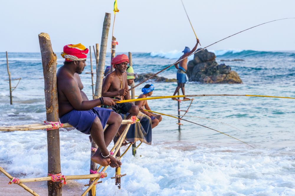 Фотография автора Michal Nega