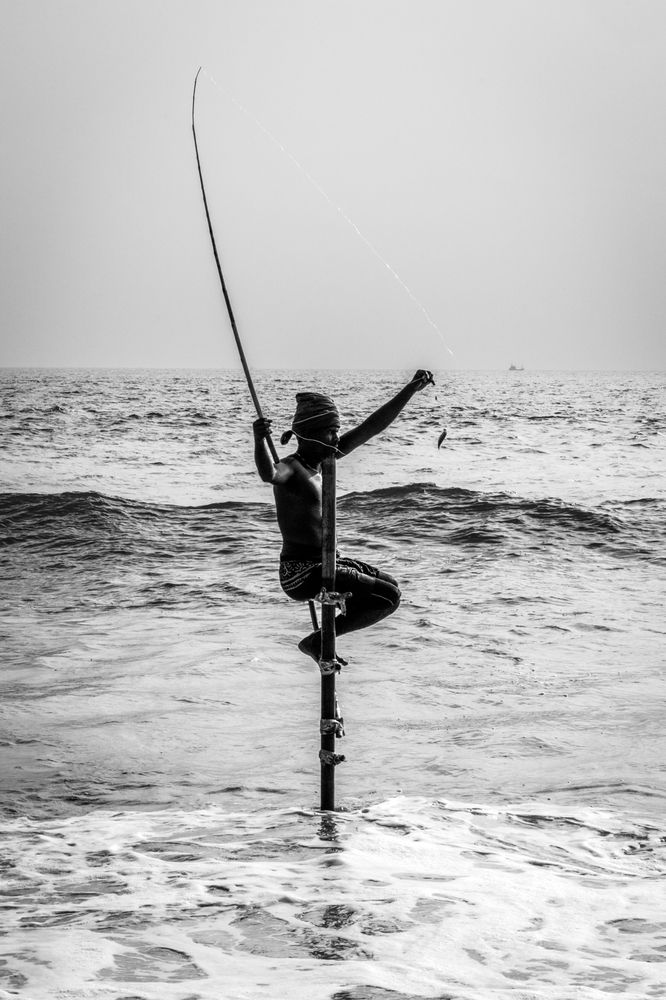 Фотография автора Michal Nega