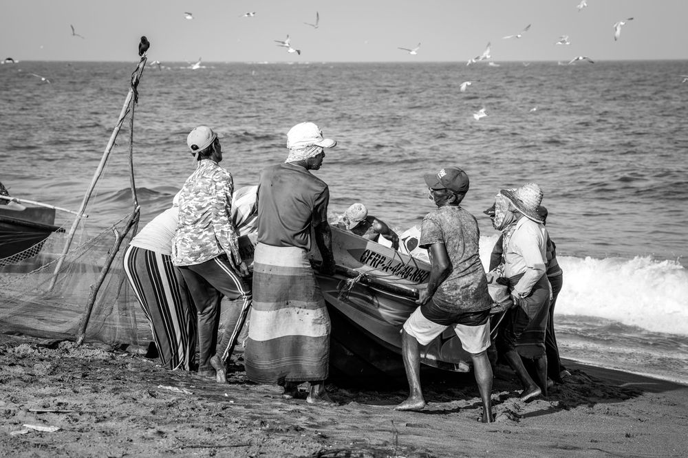 Фотография автора Michal Nega