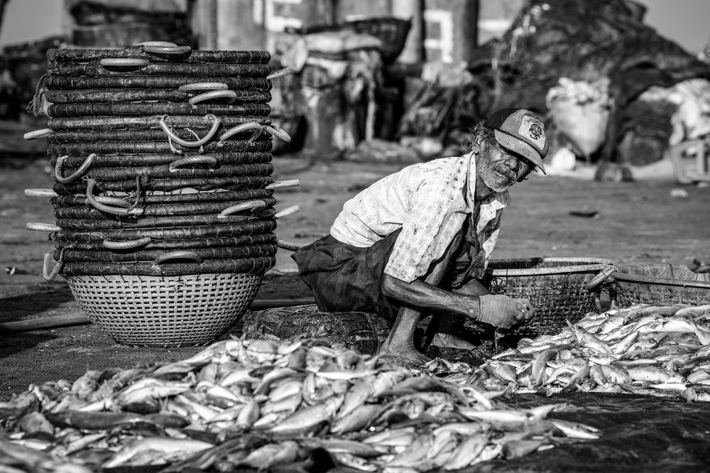 Photograph by Michal Nega