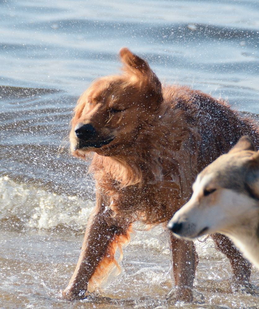 Photograph by Mohamed Magdy