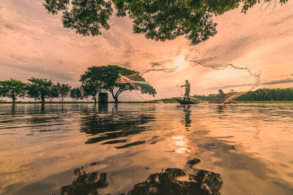 Photograph by Andy Nguyen