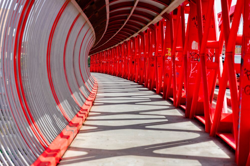 Photograph by Dmitri Gorbunov