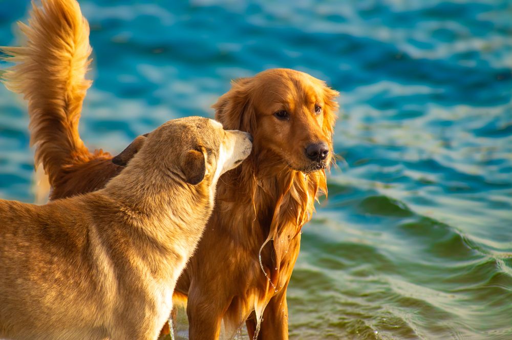 Photograph by Mohamed Magdy