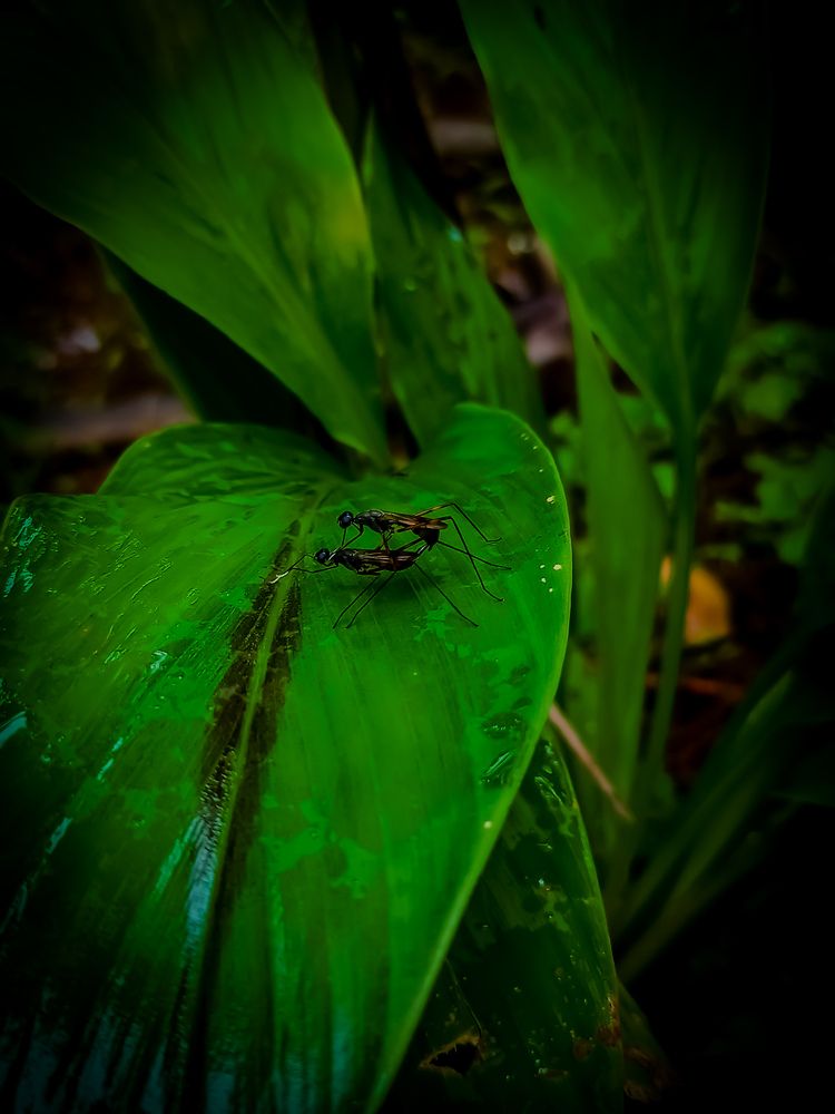 Photograph by SHRIYAKSHI