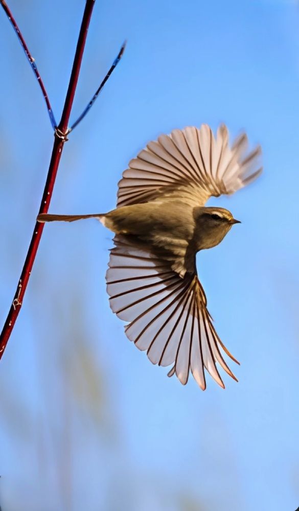 Photograph by Екатерина Козлова