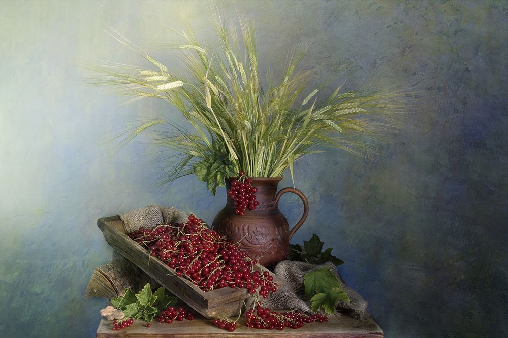 Photograph by Вера  Павлухина