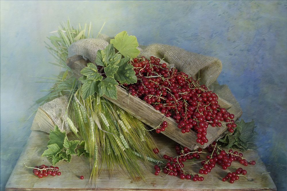 Photograph by Вера  Павлухина