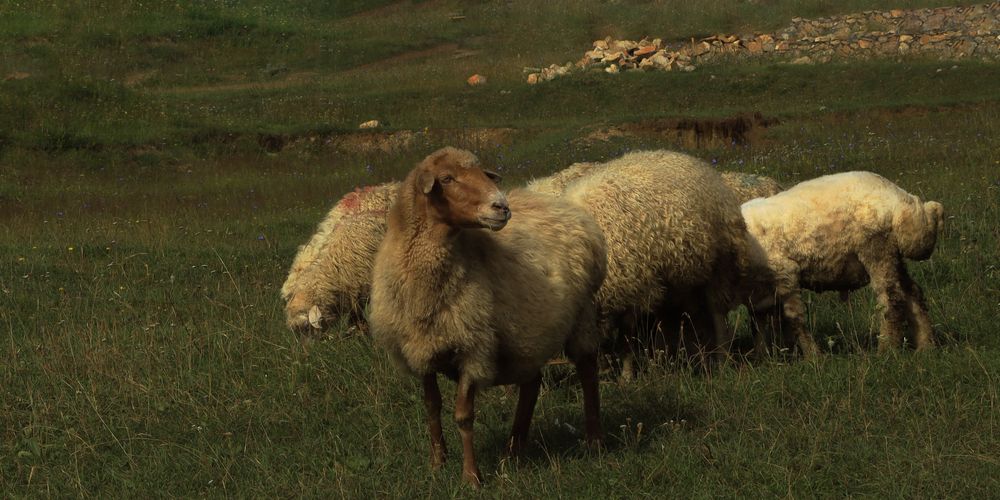 Photograph by Ирина Бескровная