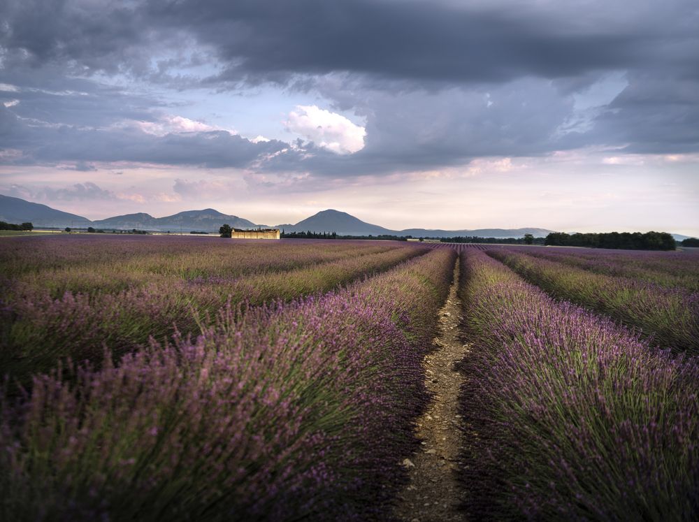 Фотография автора Garden Line
