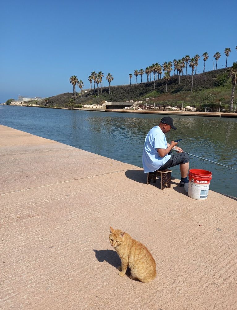 Фотография автора Oksana Podgorodetska