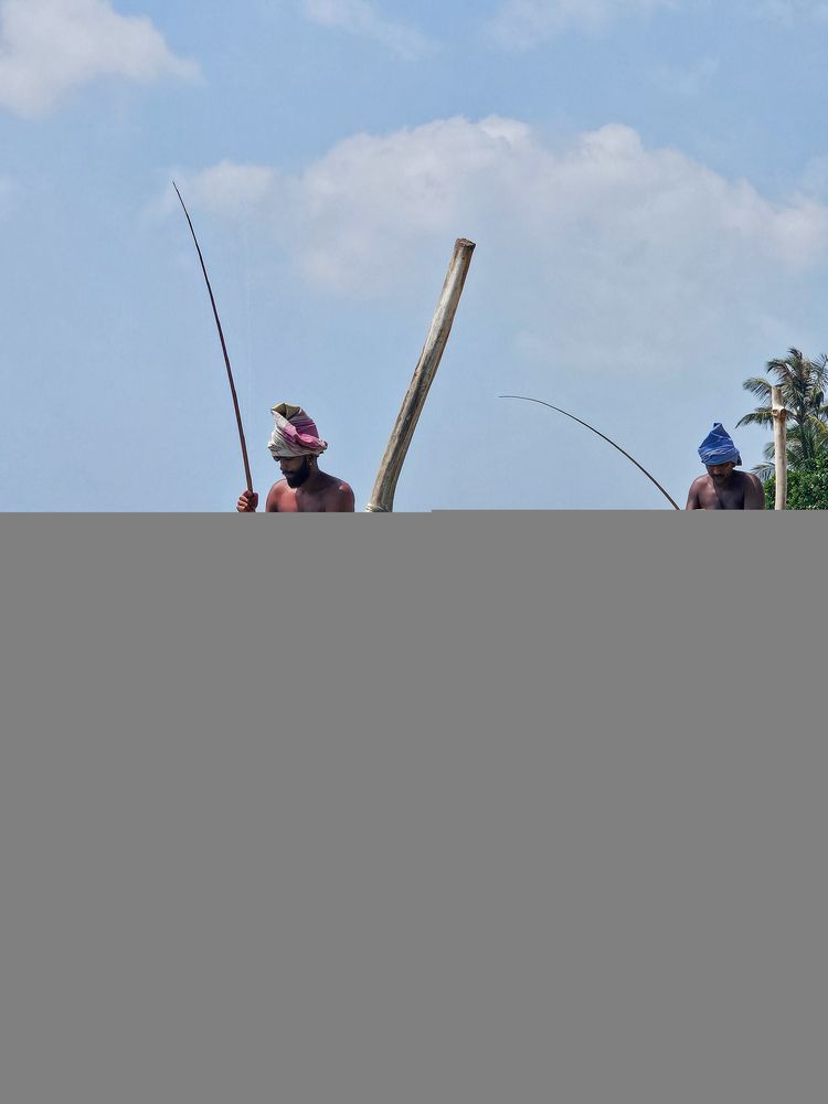 Фотография автора Ольга Шишук