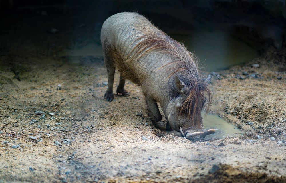 Фотография автора Дмитрий Герасимов