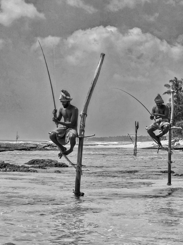 Photograph by Ольга Шишук