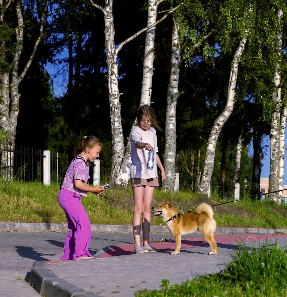 Photograph by Валентин Кузьмин