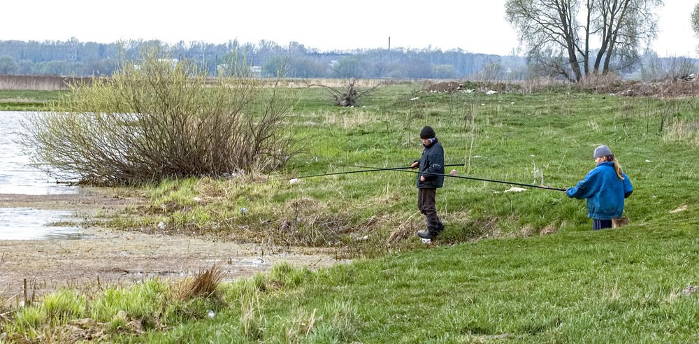 Photograph by Vladimir  Komarov