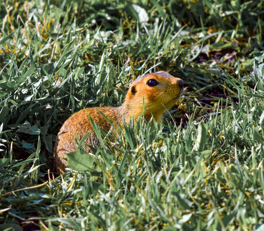 Фотография автора Дмитрий Герасимов