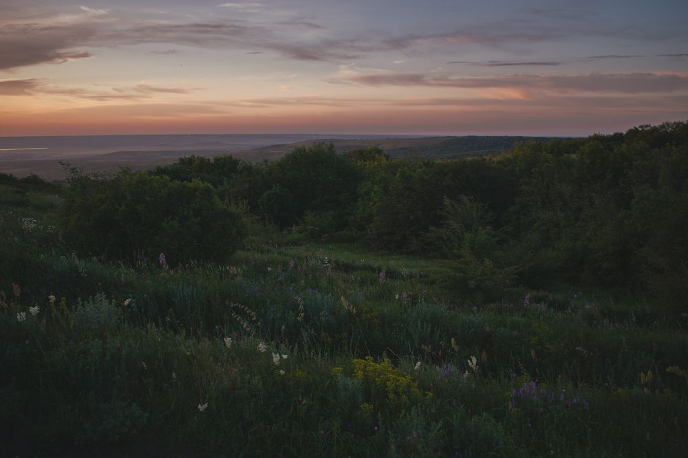 Photograph by Игорь Белявцев