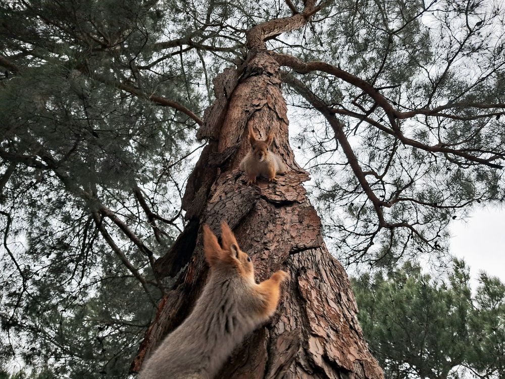 Photograph by Анастасия Кузьменко