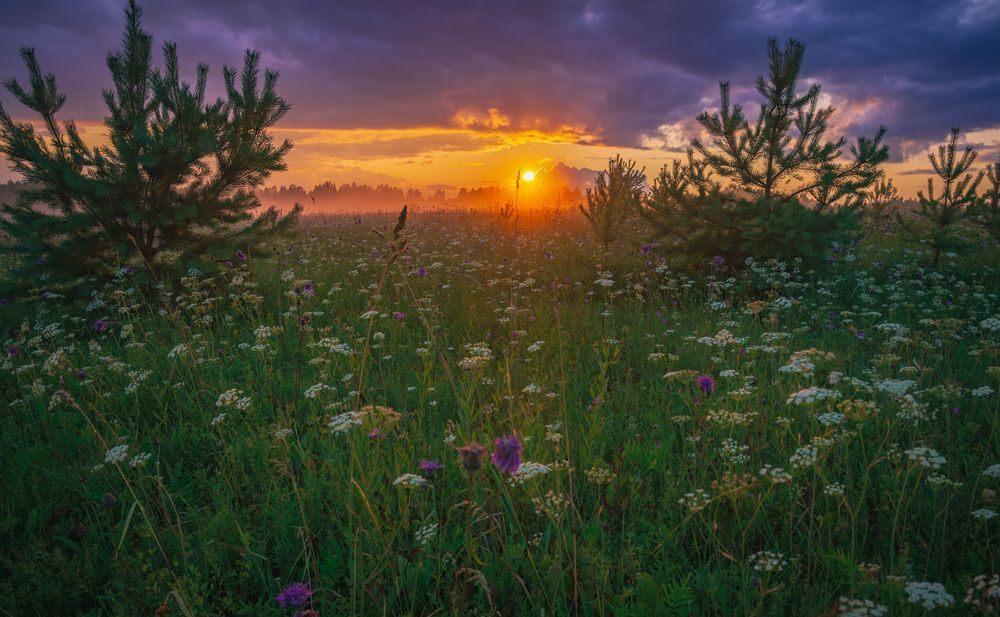 Photograph by Кокорин Алексей