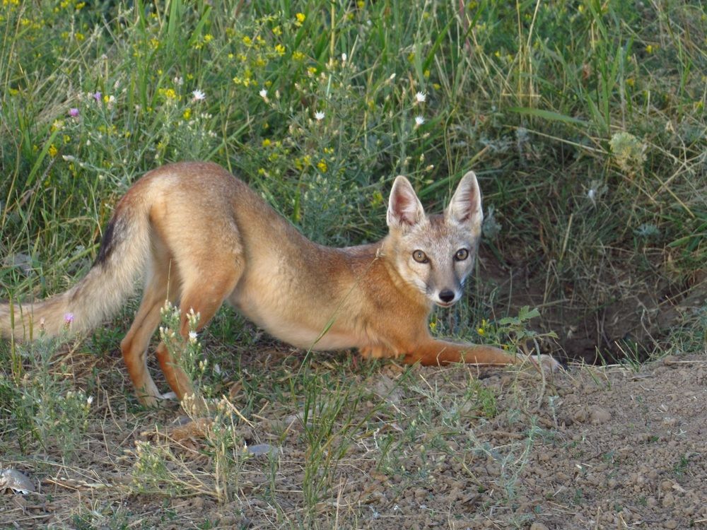 Photograph by Денис Веску