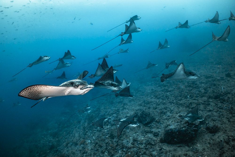 Photograph by Fabi Fregonesi