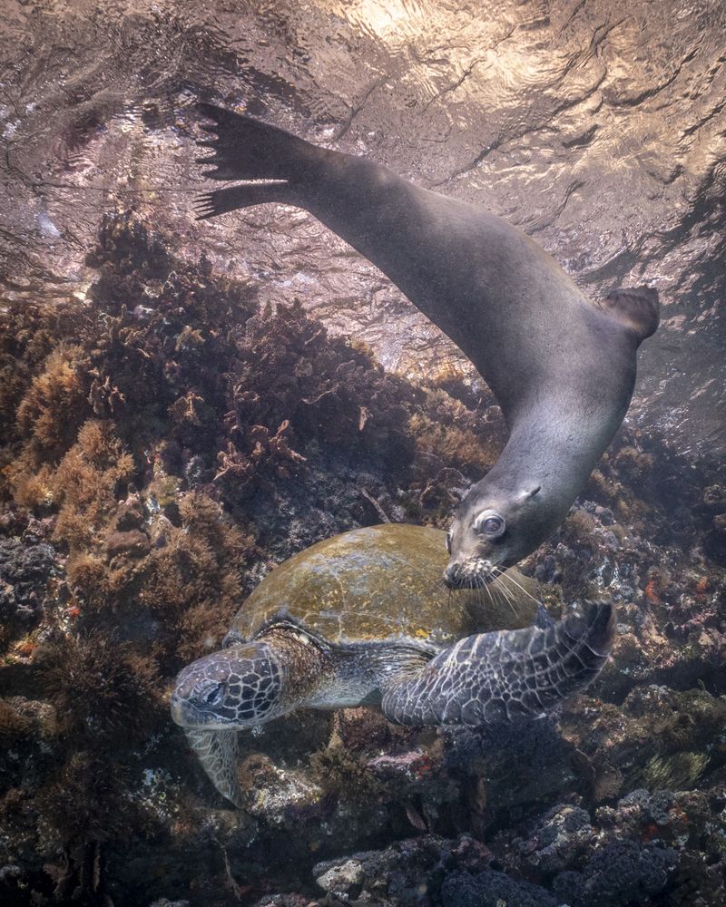 Фотография автора Fabi Fregonesi