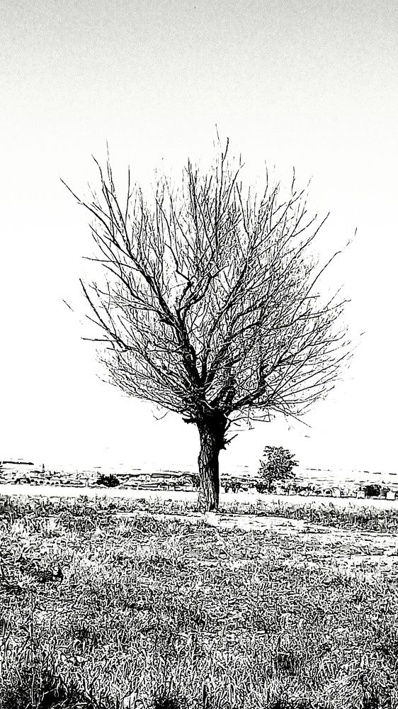 Photograph by Hamid Reza Abadeh