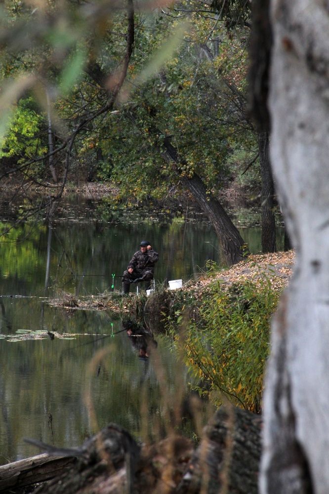 Photograph by Хайбуллина Флора