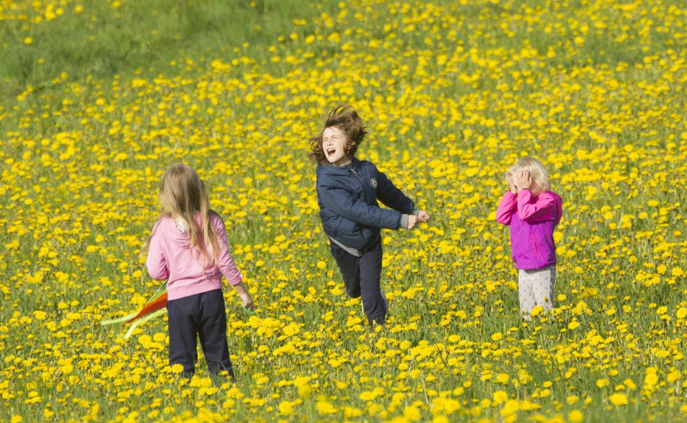 Фотография автора Александр Собокарь