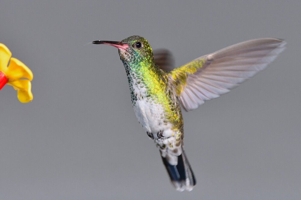 Photograph by Miguel Antonio Sevilla Flor