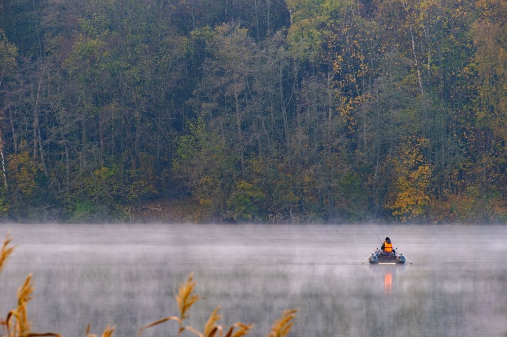 Photograph by Михаил Косолапов