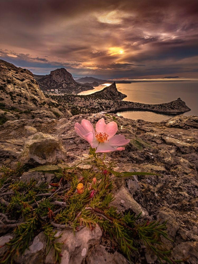 Photograph by Александр Разумов