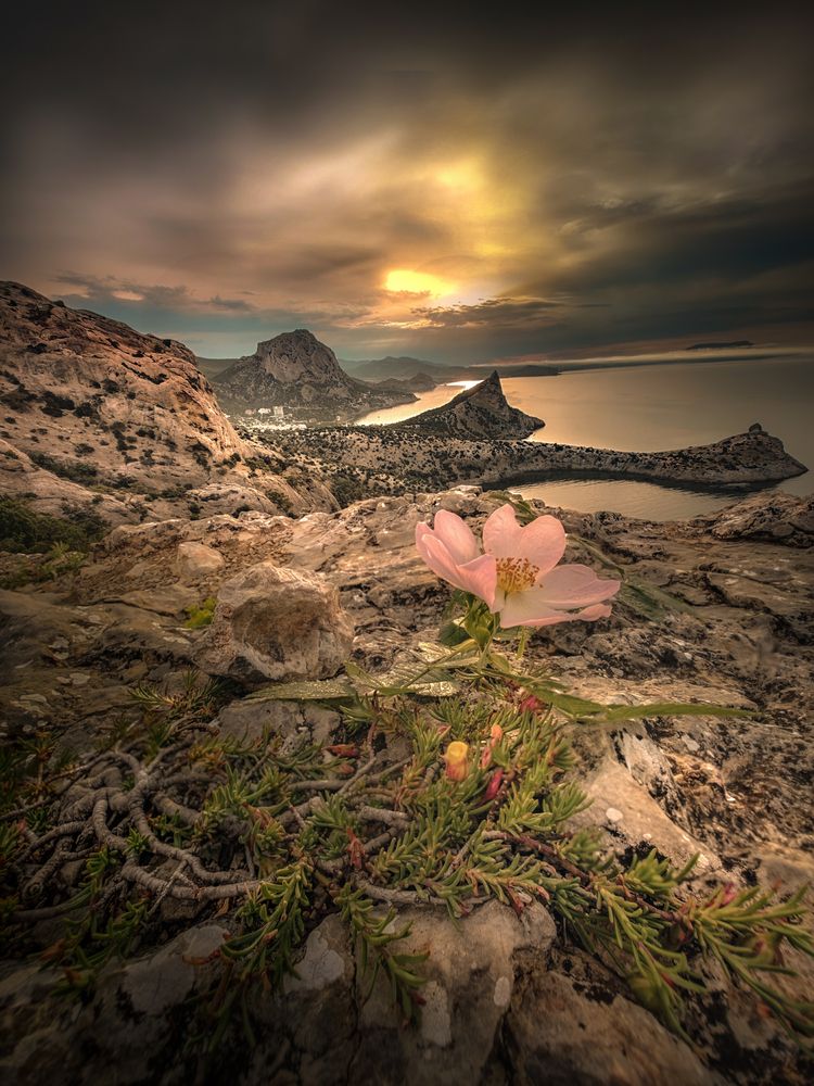 Photograph by Александр Разумов