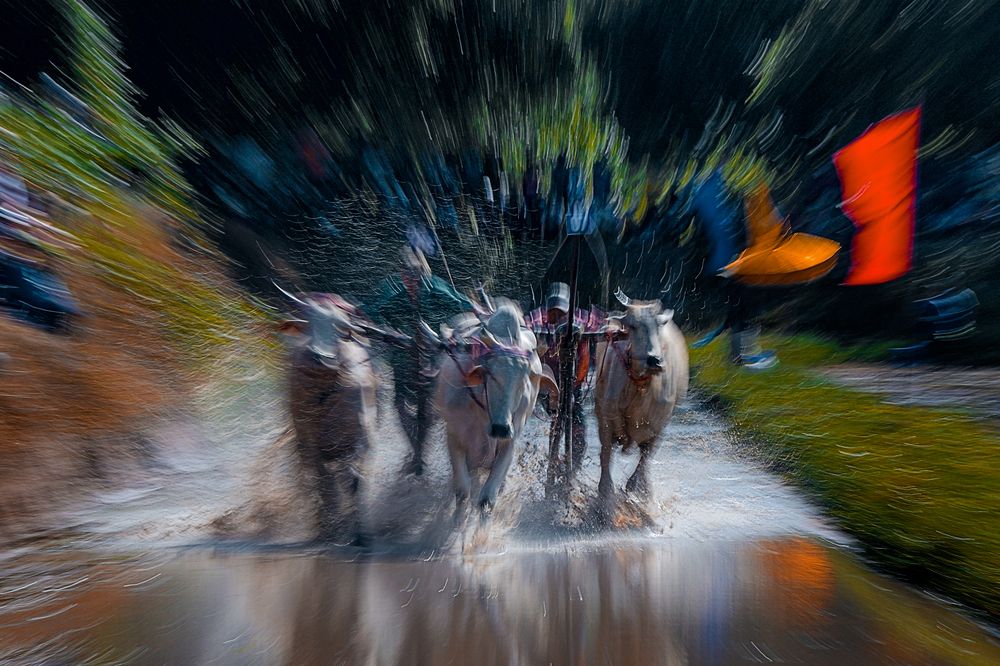 Фотография автора Nghi Le Huu