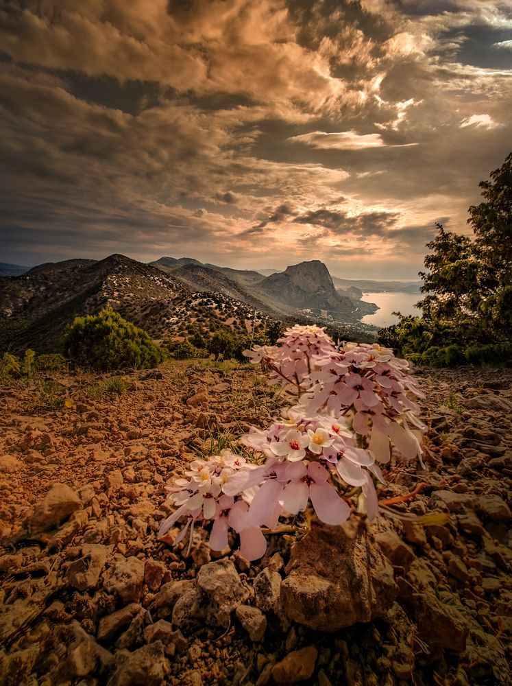 Photograph by Александр Разумов