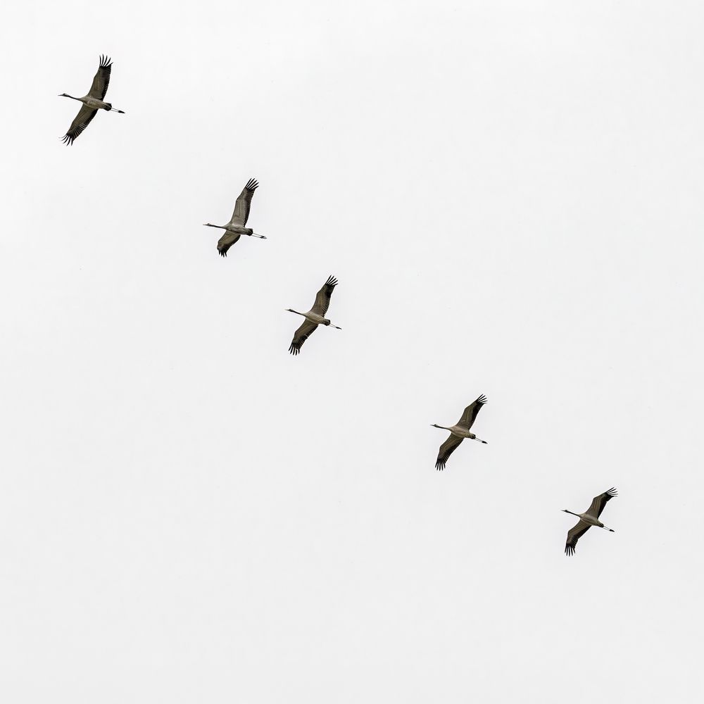 Photograph by Олег Белан