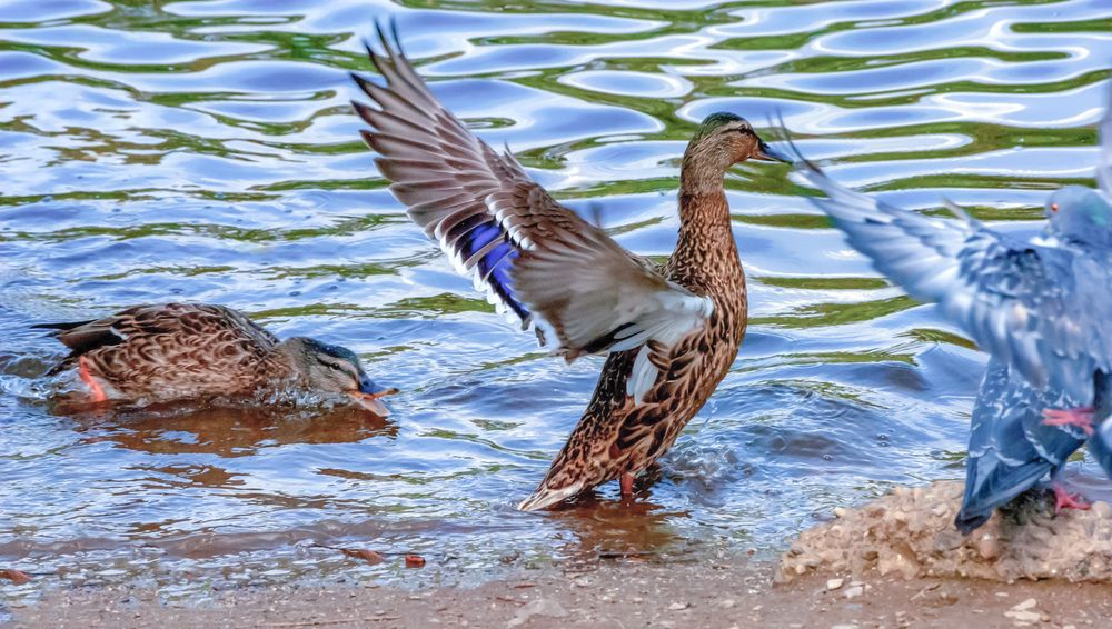 Photograph by Любовь Бусова