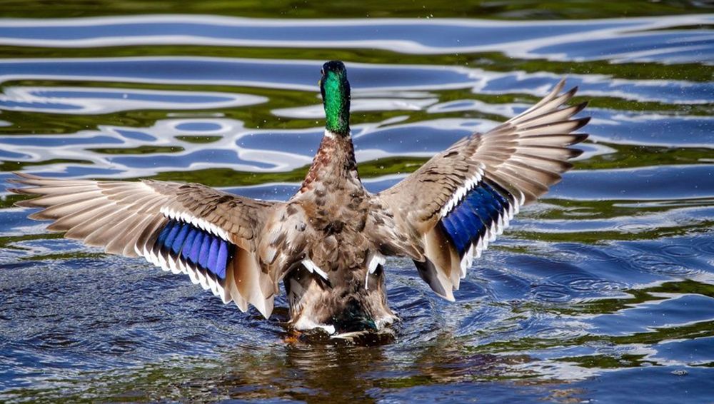 Photograph by Любовь Бусова