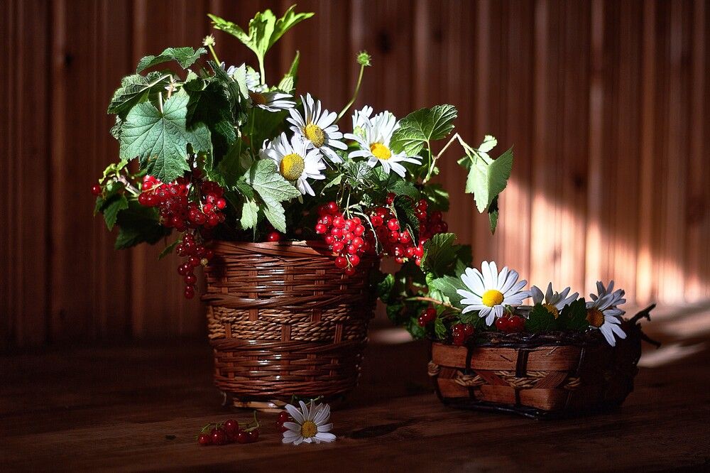 Photograph by Наталья Шевелева