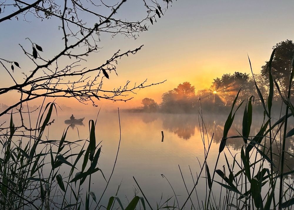 Photograph by Алексей Поляков