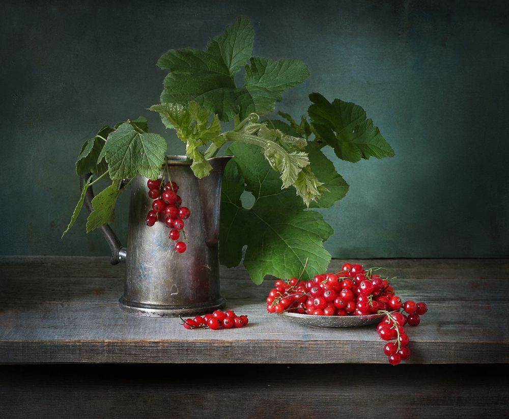 смородина поспела.