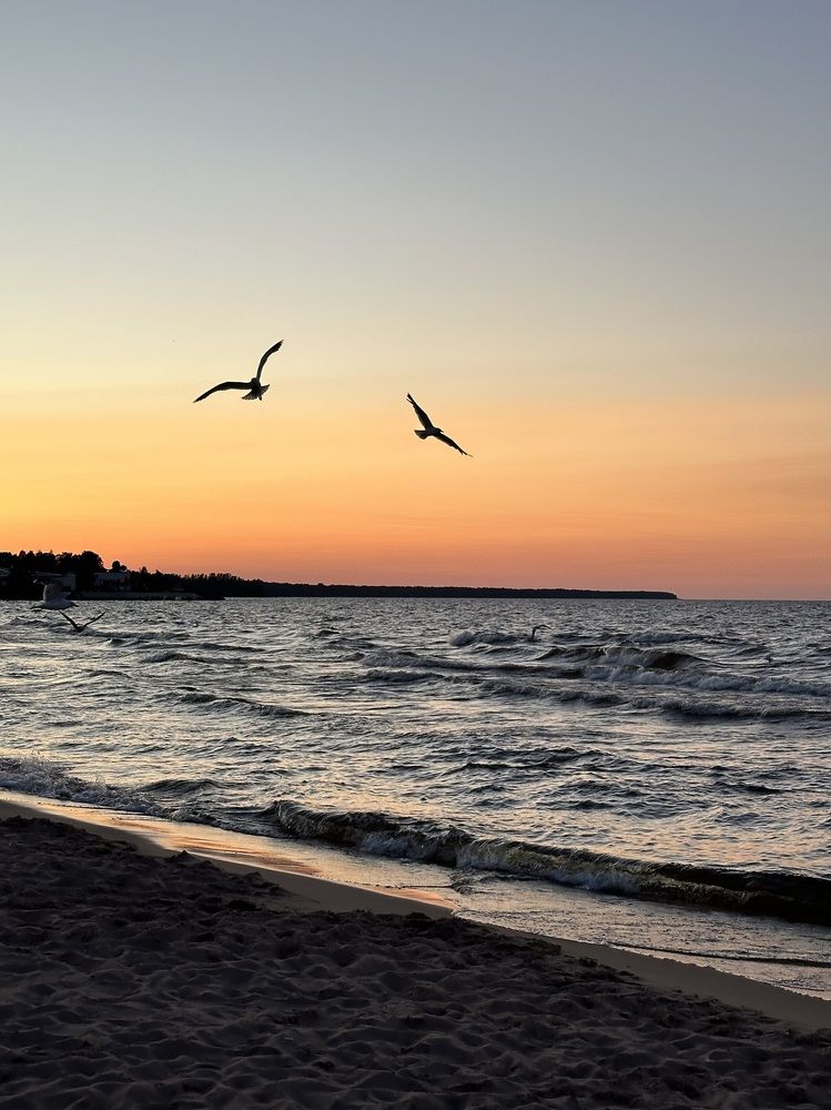 Photograph by Елена Безперстова