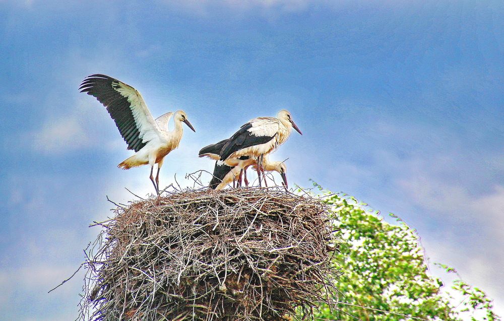 Photograph by Виталий Симоненков
