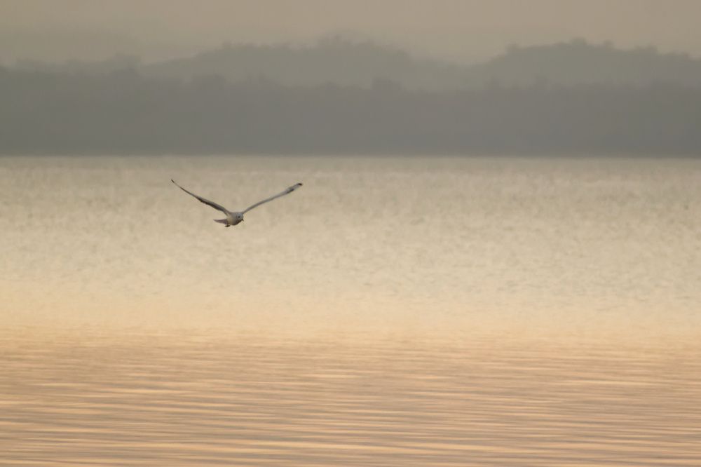 Photograph by Guillermo Topp